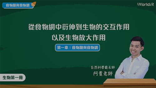 誰才是王者 | 生物的交互作用與放大作用