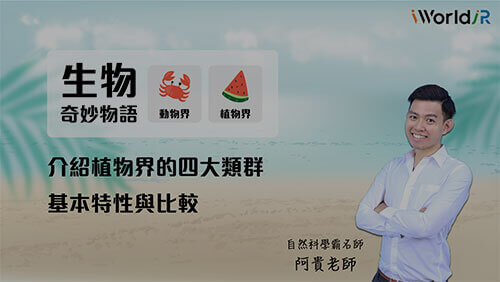 生物奇妙物語 | 植物界四大類群