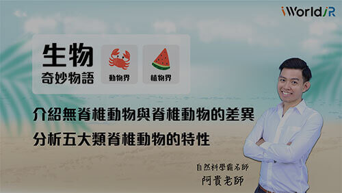 生物奇妙物語 | 無脊椎動物與脊椎動物的差異