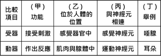 神經系統