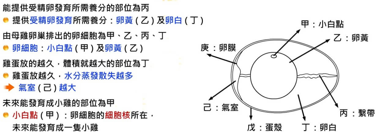 有性生殖