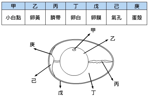 有性生殖