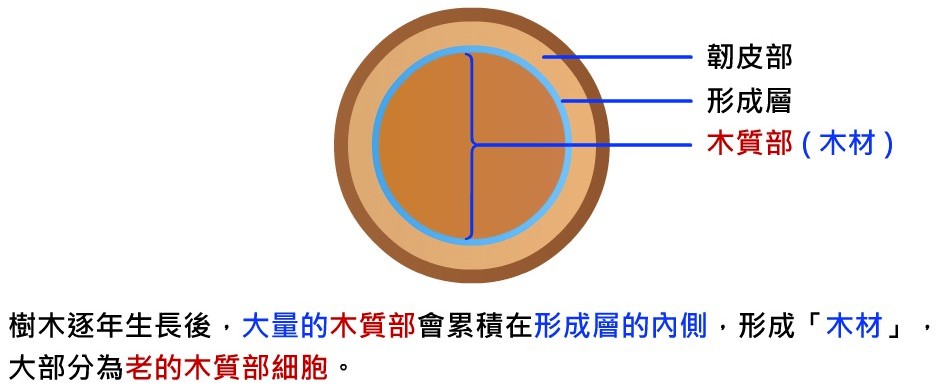 生物的運輸與防禦