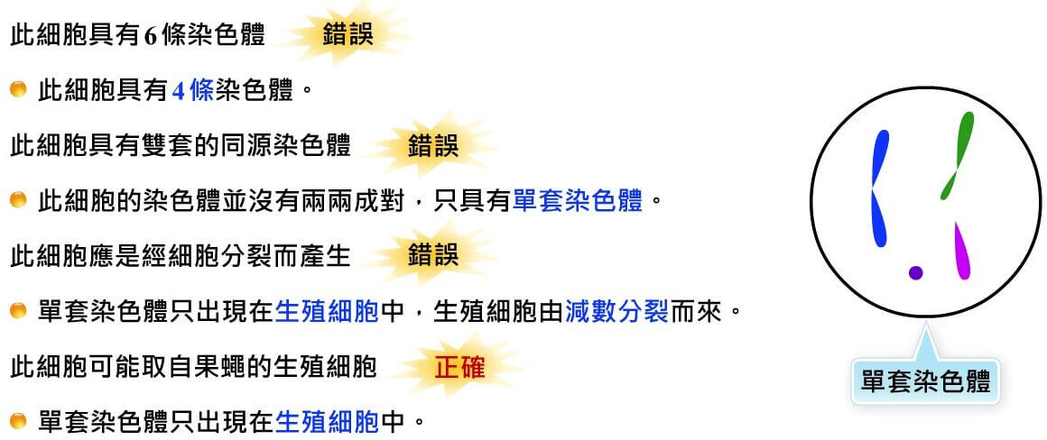 細胞的分裂