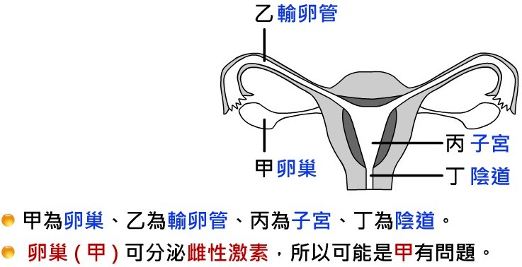 有性生殖