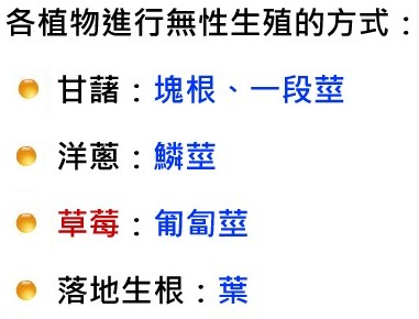 無性生殖