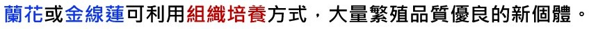 無性生殖