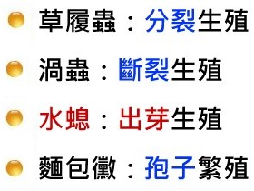 無性生殖