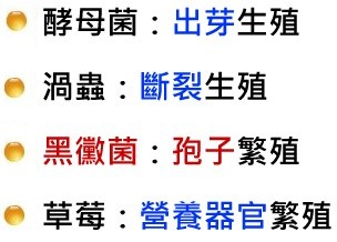 無性生殖
