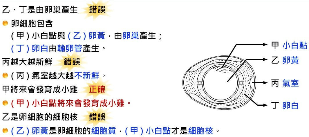 有性生殖