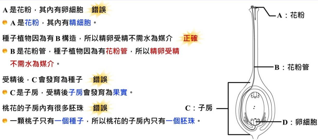 有性生殖