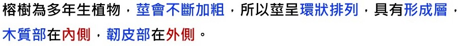 植物的運輸構造