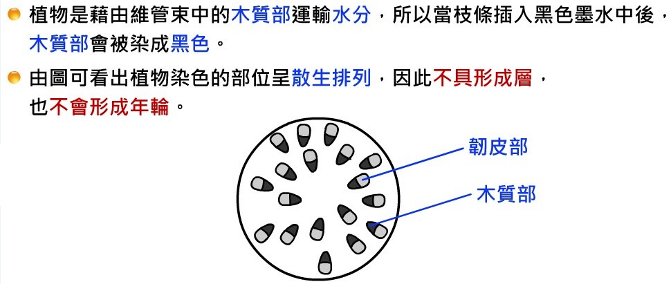 植物的運輸構造