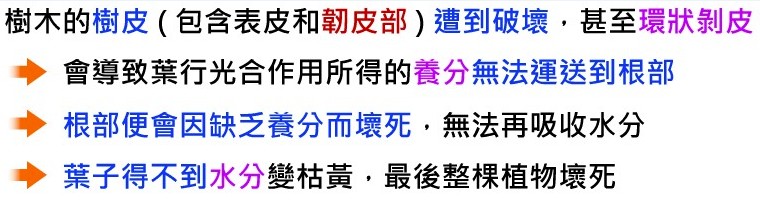 生物的運輸與防禦