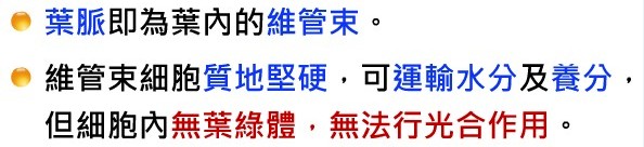 植物的運輸構造