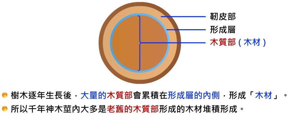 生物的運輸與防禦