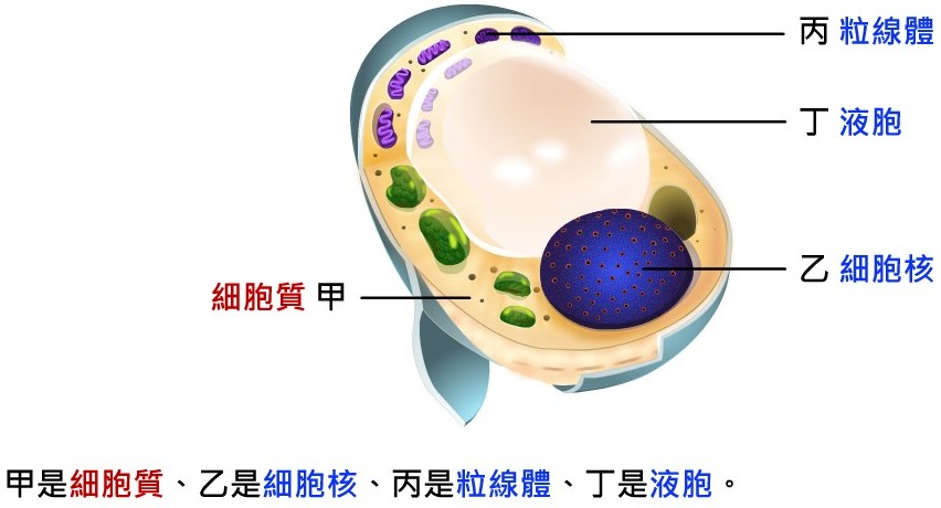 bz0a0037.jpg