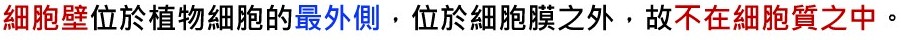 bz0a0041.jpg
