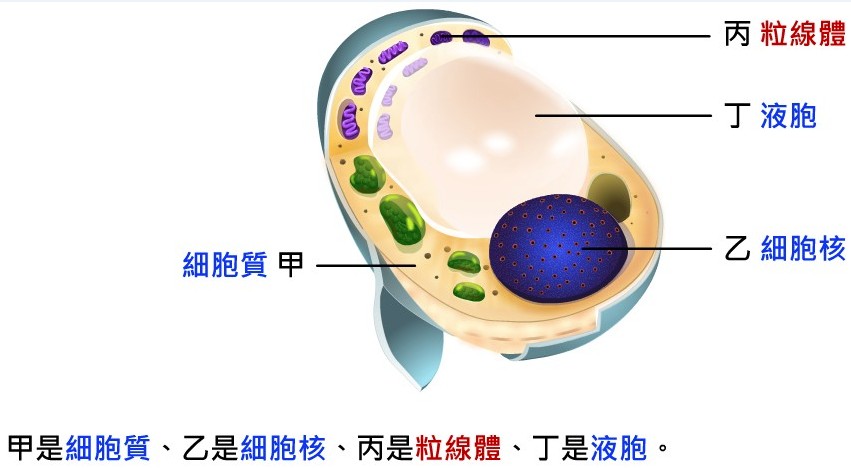 bz0a0042.jpg