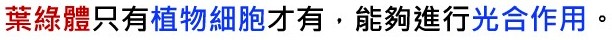 bz0a0059.jpg