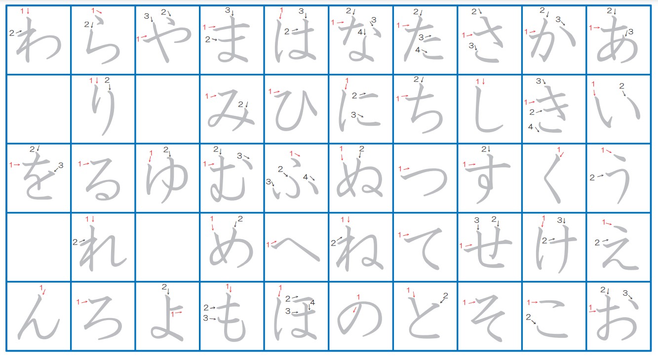 片假名的書寫要點